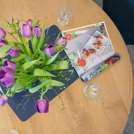 Groot Ney Apartment Norderney